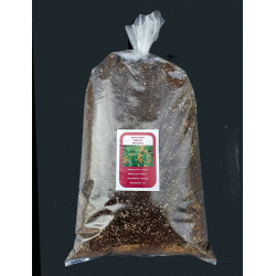 Soil for Dactylorhiza, Epipactis, Spiranthes ready-to-use mixture (5L Bag)