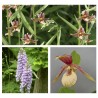 ‘Clay soil’ Starter kit