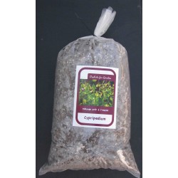 Soil for Cypripedium, ready-to-use mixture (5L Bag)